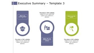 Executive Summary Template 3 Ppt PowerPoint Presentation Model Introduction