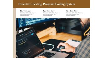 Executive Testing Program Coding System Ppt PowerPoint Presentation Slides Aids PDF