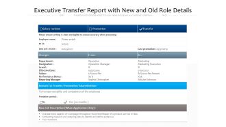 Executive Transfer Report With New And Old Role Details Ppt PowerPoint Presentation Gallery Template PDF