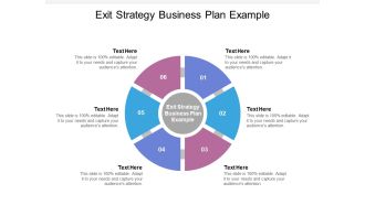 Exit Strategy Business Plan Example Ppt PowerPoint Presentation Professional Samples Cpb