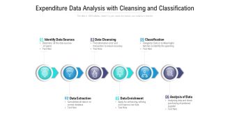 Expenditure Data Analysis With Cleansing And Classification Ppt PowerPoint Presentation Outline Graphics Tutorials