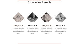Experience Projects Ppt PowerPoint Presentation Show Structure