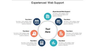 Experienced Web Support Ppt PowerPoint Presentation Slides Shapes Cpb