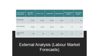 External Analysis Labour Market Forecasts Ppt PowerPoint Presentation Ideas Examples