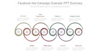 Facebook Ads Campaign Example Ppt Summary
