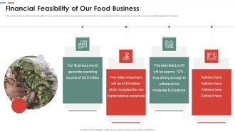 Feasibility Analysis Template Different Projects Financial Feasibility Of Our Food Business Topics PDF