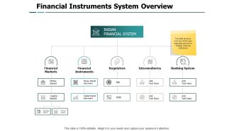 Financial Instruments System Overview Financial Instruments Ppt PowerPoint Presentation Layouts Influencers