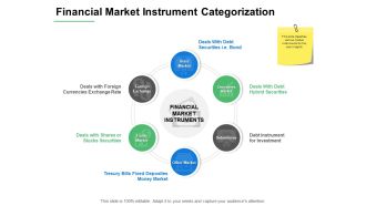 Financial Market Instrument Categorization Ppt PowerPoint Presentation Portfolio Slideshow