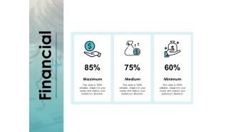 Financial Minimum Medium Minimum Ppt PowerPoint Presentation Outline Professional