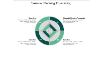 Financial Planning Forecasting Ppt PowerPoint Presentation File Examples Cpb