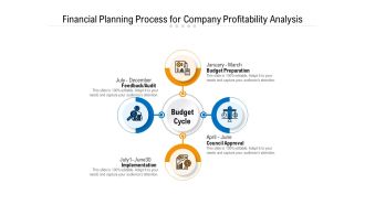 Financial Planning Process For Company Profitability Analysis Ppt PowerPoint Presentation File Show PDF