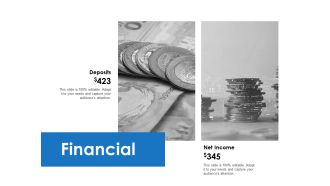 Financial Ppt PowerPoint Presentation Outline Professional