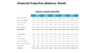 Financial Projection Balance Sheet Ppt PowerPoint Presentation Model Example Introduction