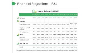 Financial Projections Pandl Ppt PowerPoint Presentation Visual Aids Professional