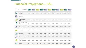 Financial Projections Panel Template 1 Ppt PowerPoint Presentation Summary Slide