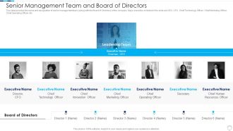 Financial Report Of An IT Firm Senior Management Team And Board Of Directors Structure PDF