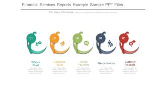 Financial Services Reports Example Sample Ppt Files