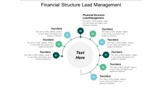 Financial Structure Lead Management Ppt PowerPoint Presentation Ideas Layout Ideas Cpb