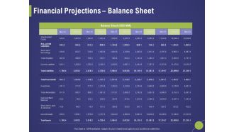 Firm Capability Assessment Financial Projections Balance Sheet Ppt Styles Format PDF