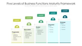 Five Levels Of Business Functions Maturity Framework Ppt PowerPoint Presentation Gallery Samples PDF