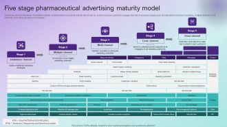 Five Stage Pharmaceutical Advertising Maturity Model Professional PDF
