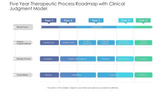 Five Year Therapeutic Process Roadmap With Clinical Judgment Model Professional