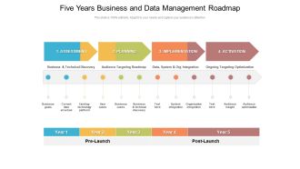 Five Years Business And Data Management Roadmap Background