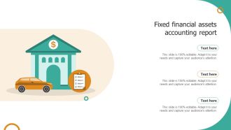Fixed Financial Assets Accounting Report Summary PDF