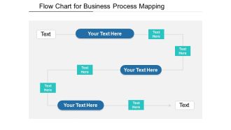 Flow Chart For Business Process Mapping Ppt PowerPoint Presentation Gallery Graphics Design PDF