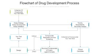 Flowchart Of Drug Development Process Ppt Infographics Guidelines PDF