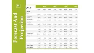 Forecast And Projection Template 2 Ppt PowerPoint Presentation Summary Example Topics