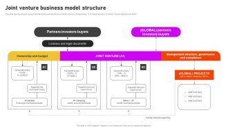 Formulating International Promotional Campaign Strategy Joint Venture Business Model Structure Introduction PDF