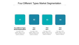 Four Different Types Market Segmentation Ppt PowerPoint Presentation Layouts Topics Cpb