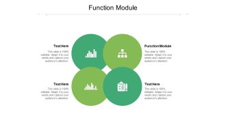 Function Module Ppt PowerPoint Presentation Portfolio Graphics Download Cpb Pdf