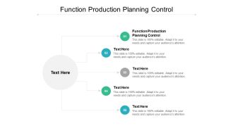 Function Production Planning Control Ppt PowerPoint Presentation Infographic Template Layout Ideas Cpb