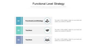 Functional Level Strategy Ppt PowerPoint Presentation Infographics Example Cpb