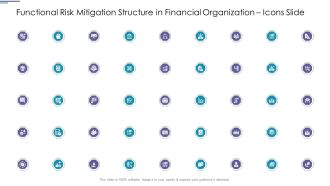 Functional Risk Mitigation Structure In Financial Organization Icons Slide Introduction PDF