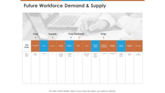 Future Workforce Demand And Supply Ppt PowerPoint Presentation Slides Example PDF