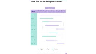 Gantt Chart For Debt Management Process One Pager Sample Example Document
