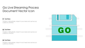 Go Live Streaming Process Document Vector Icon Ppt PowerPoint Presentation Gallery Show PDF