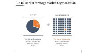 Go To Market Strategy Market Segmentation Ppt PowerPoint Presentation File Summary