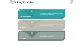 Guiding Principles Ppt PowerPoint Presentation Show Styles Cpb