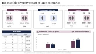 HR Monthly Diversity Report Of Large Enterprise Microsoft PDF