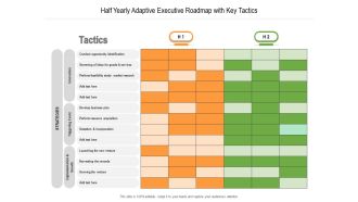 Half Yearly Adaptive Executive Roadmap With Key Tactics Formats