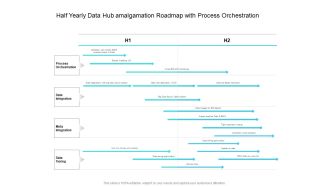 Half Yearly Data Hub Amalgamation Roadmap With Process Orchestration Introduction