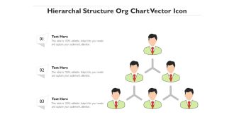 Hierarchal Structure Org Chart Vector Icon Ppt PowerPoint Presentation Model Sample PDF