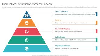 Hierarchical Pyramid Of Consumer Needs Elements PDF