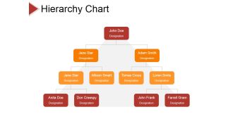 Hierarchy Chart Ppt PowerPoint Presentation Summary Ideas