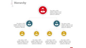 Hierarchy Ppt PowerPoint Presentation File Model