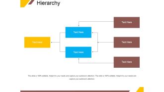 Hierarchy Ppt PowerPoint Presentation File Samples